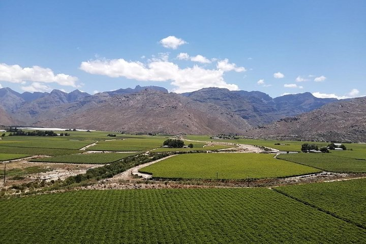 Paarl